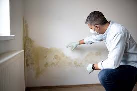 Best Attic Mold Removal  in Westlake Vlage, IL